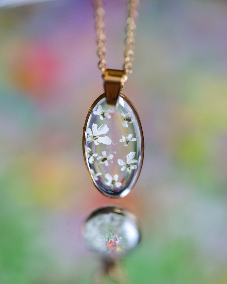 Owalny z dziką marchwią